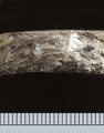 F004 2a