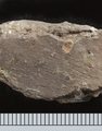 F004 2c